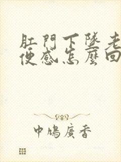 肛门下坠老有大便感怎么回事