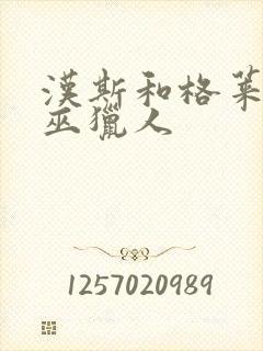 汉斯和格莱泰女巫猎人