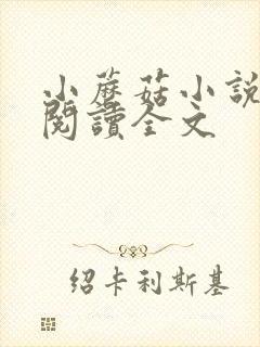 小蘑菇小说免费阅读全文