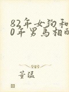 82年女狗和90年男马相配婚姻如何封面