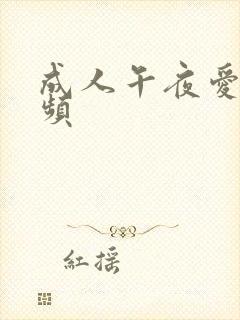 成人午夜爱爱视频