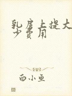 乳房上提大概多少费用