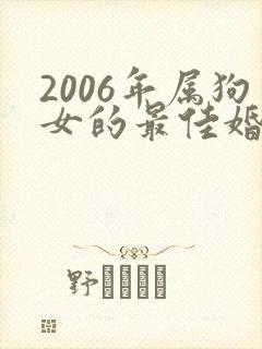 2006年属狗女的最佳婚配封面
