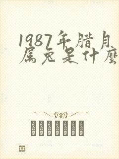 1987年腊月属兔是什么命运