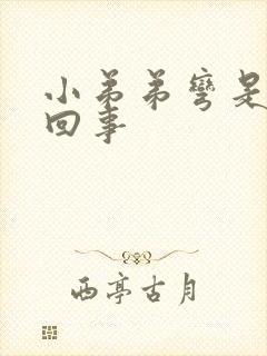 小弟弟弯是怎么回事封面