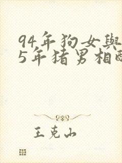 94年狗女与95年猪男相配吗