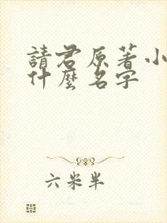 请君原著小说叫什么名字