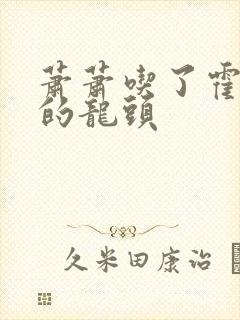 萧萧吃了霍雨浩的龙头封面