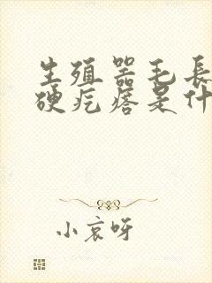 生殖器毛长一个硬疙瘩是什么