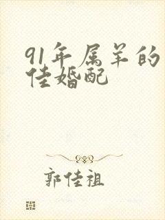 91年属羊的最佳婚配