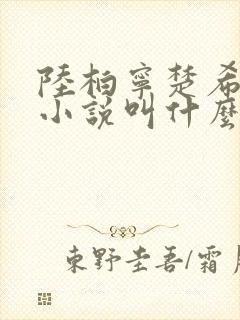 陆柏宁楚希原著小说叫什么