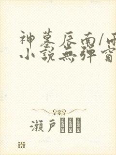 神墓辰南/雨馨小说无弹窗全文免费阅读封面