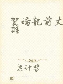 贺娇龙前丈夫是谁封面