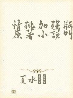 情挑加强版静心原著小说叫什么名字封面