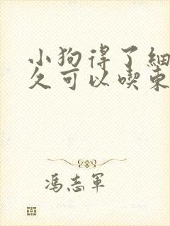 小狗得了细小多久可以吃东西封面