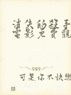 消失的杀手国语电影免费观看封面