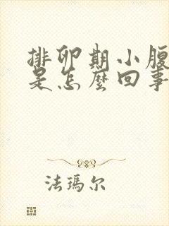 排卵期小腹坠胀是怎么回事封面