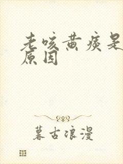 老咳黄痰是什么原因封面