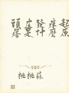 头皮发痒起小疙瘩是什么原因封面