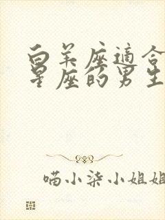 白羊座适合什么星座的男生封面