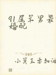 91属羊男最佳婚配封面
