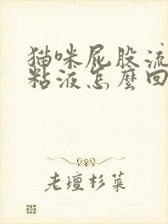 猫咪屁股流白色粘液怎么回事