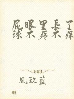 屁眼里长了个肉球不疼不痒封面