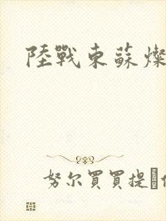 陆战东苏灿全文