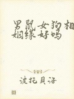 男鼠女狗相配的姻缘好吗