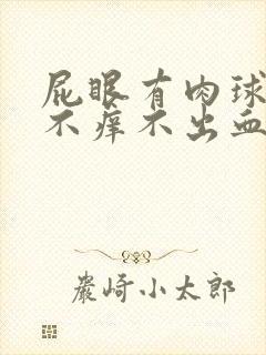 屁眼有肉球不痛不痒不出血