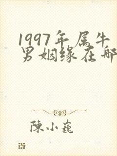1997年属牛男姻缘在哪年能成功