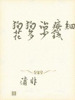 狗狗治疗细小要花多少钱