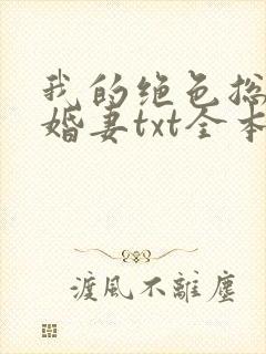 我的绝色总裁未婚妻txt全本