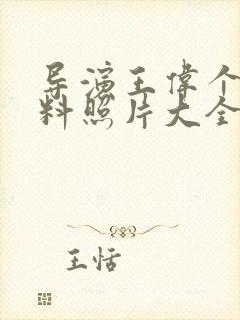 导演王伟个人资料照片大全