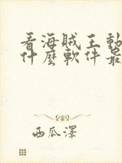 看海贼王动漫用什么软件最好