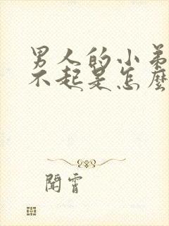 男人的小弟弟硬不起是怎么回事