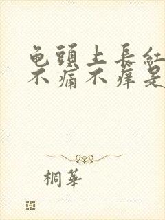 龟头上长红疙瘩不痛不痒是怎么回事