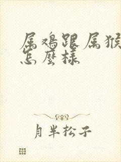 属鸡跟属猴姻缘怎么样封面