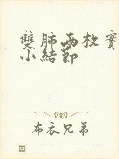 双肺两枚实性微小结节