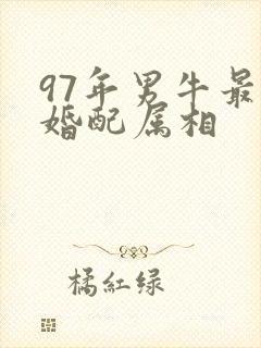 97年男牛最佳婚配属相