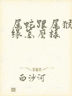 属蛇跟属猴的姻缘怎么样