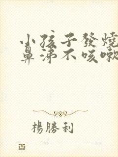 小孩子发烧不流鼻涕不咳嗽吃什么药