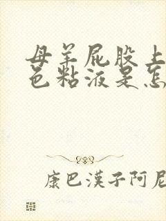 母羊屁股上有白色粘液是怎么回事