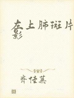 左上肺斑片结节影