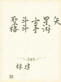 圣斗士星矢3d格斗手游