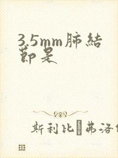 3.5mm肺结节是