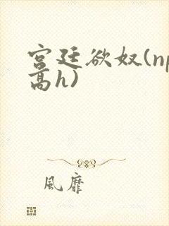 宫廷欲奴(np高h)