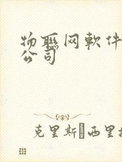 物联网软件开发公司