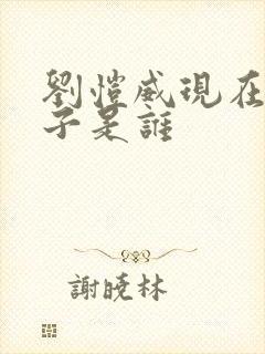 刘恺威现在的妻子是谁