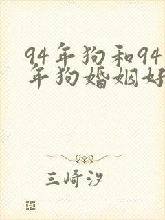 94年狗和94年狗婚姻好不好封面